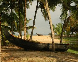 Mottys Homestay Villas